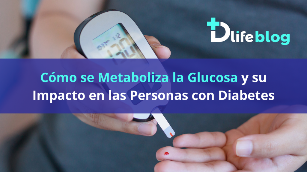 Cómo se Metaboliza la Glucosa y su Impacto en las Personas con Diabetes